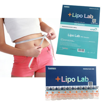 Hals 10ML lipolytische Lipo-Laborppc-Lösungs-Einspritzungen, zum des Bauch-fetten Serums aufzulösen