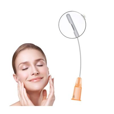 Cannula-Nadel 21g 50mm 70mm stumpfe stumpfe Cannula-Nadel-injizierbare Füller